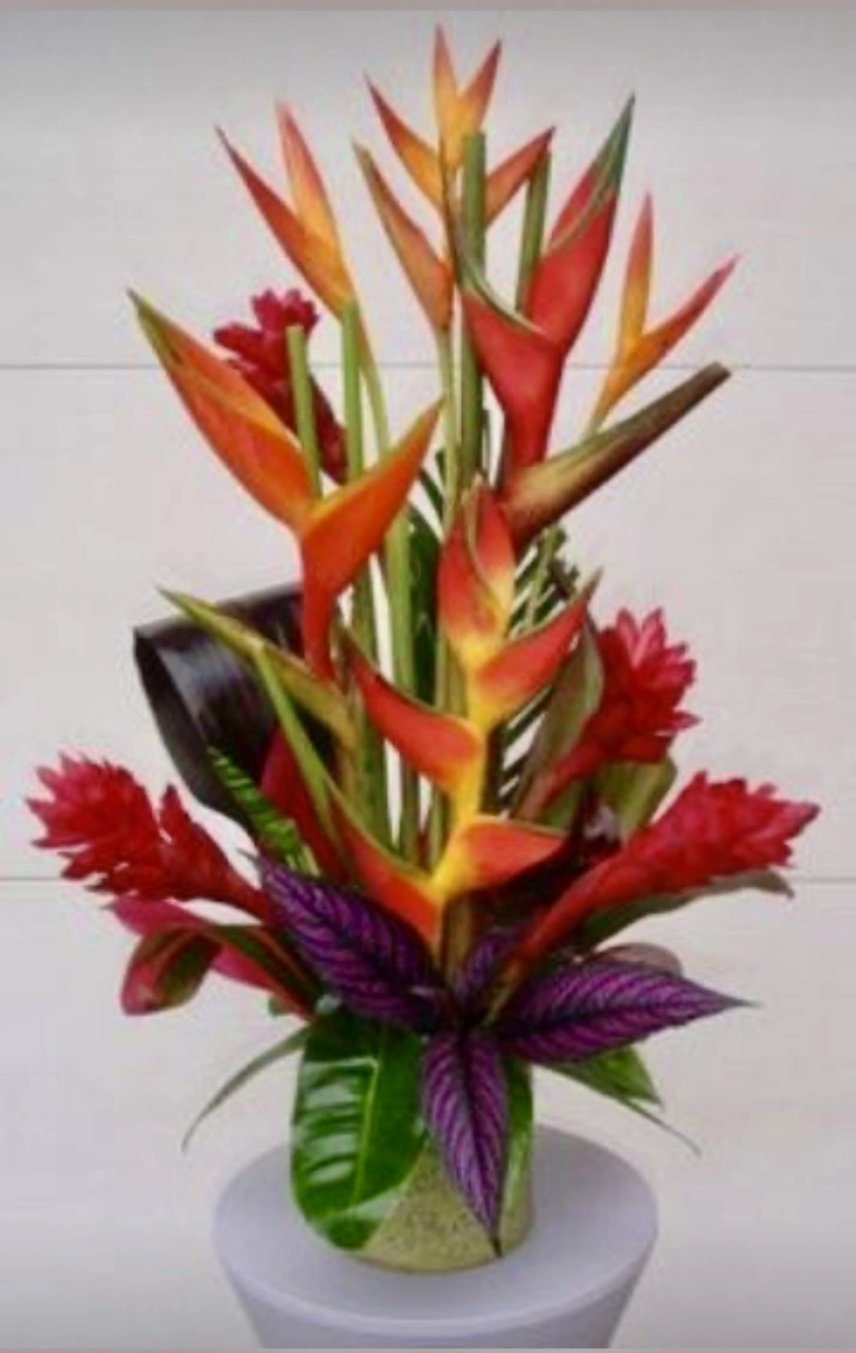 Encanto Floral #017
