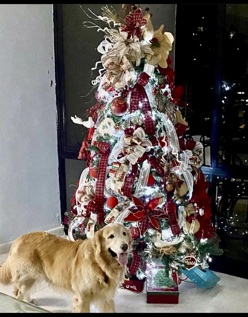 Centro Navideño #002