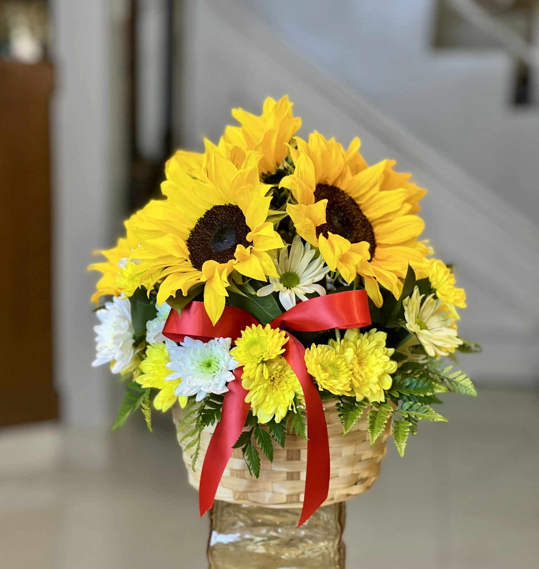 Girasol Encanto #005